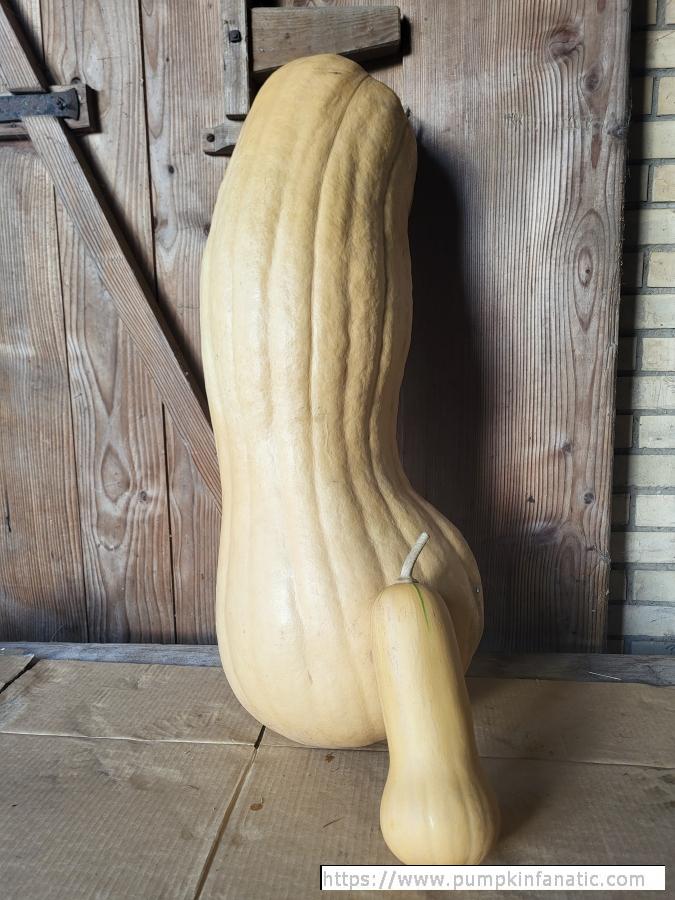 95.239 Leuenberger 2025